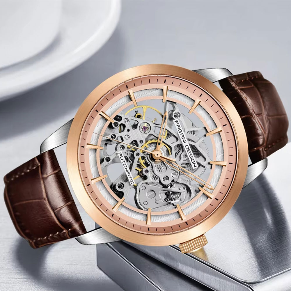 Zegarek męski PAGANI DESIGN Ho – Men Mechanical Watch Sapphire Crystal recenzja i cena